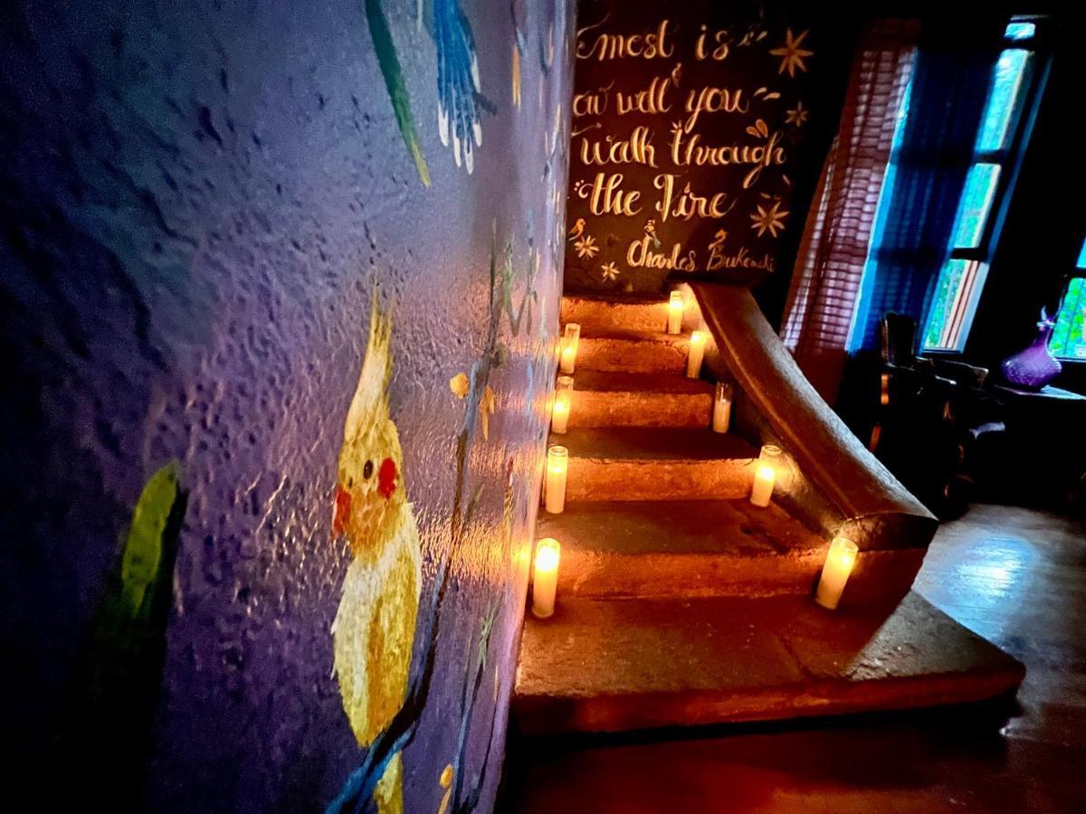 Boutique Hotel And Gallery In San Angel Inn 멕시코 시 외부 사진