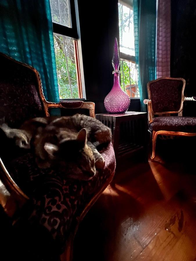 Boutique Hotel And Gallery In San Angel Inn 멕시코 시 외부 사진