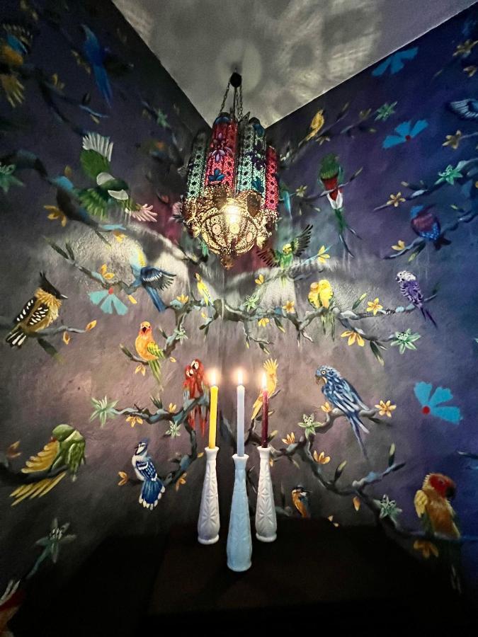Boutique Hotel And Gallery In San Angel Inn 멕시코 시 외부 사진