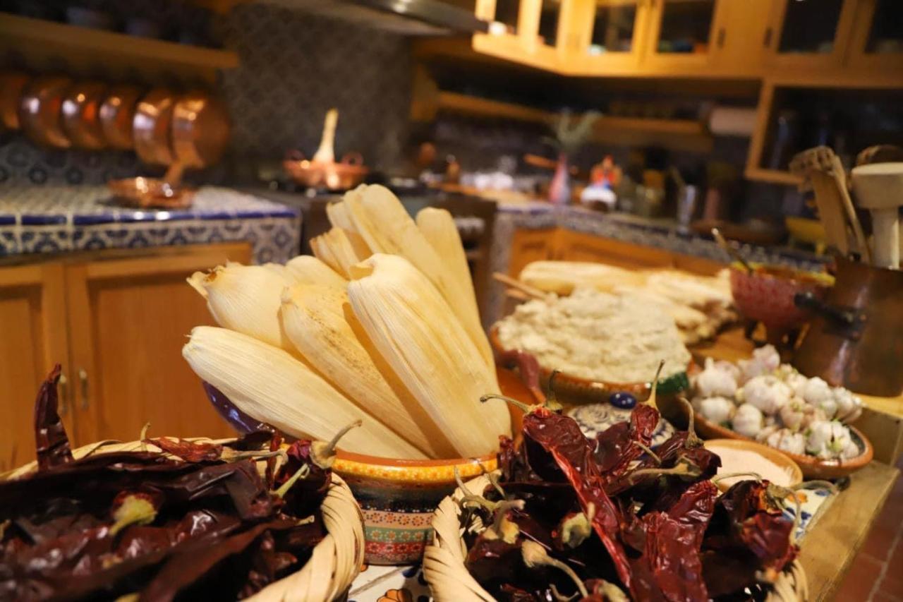 Boutique Hotel And Gallery In San Angel Inn 멕시코 시 외부 사진