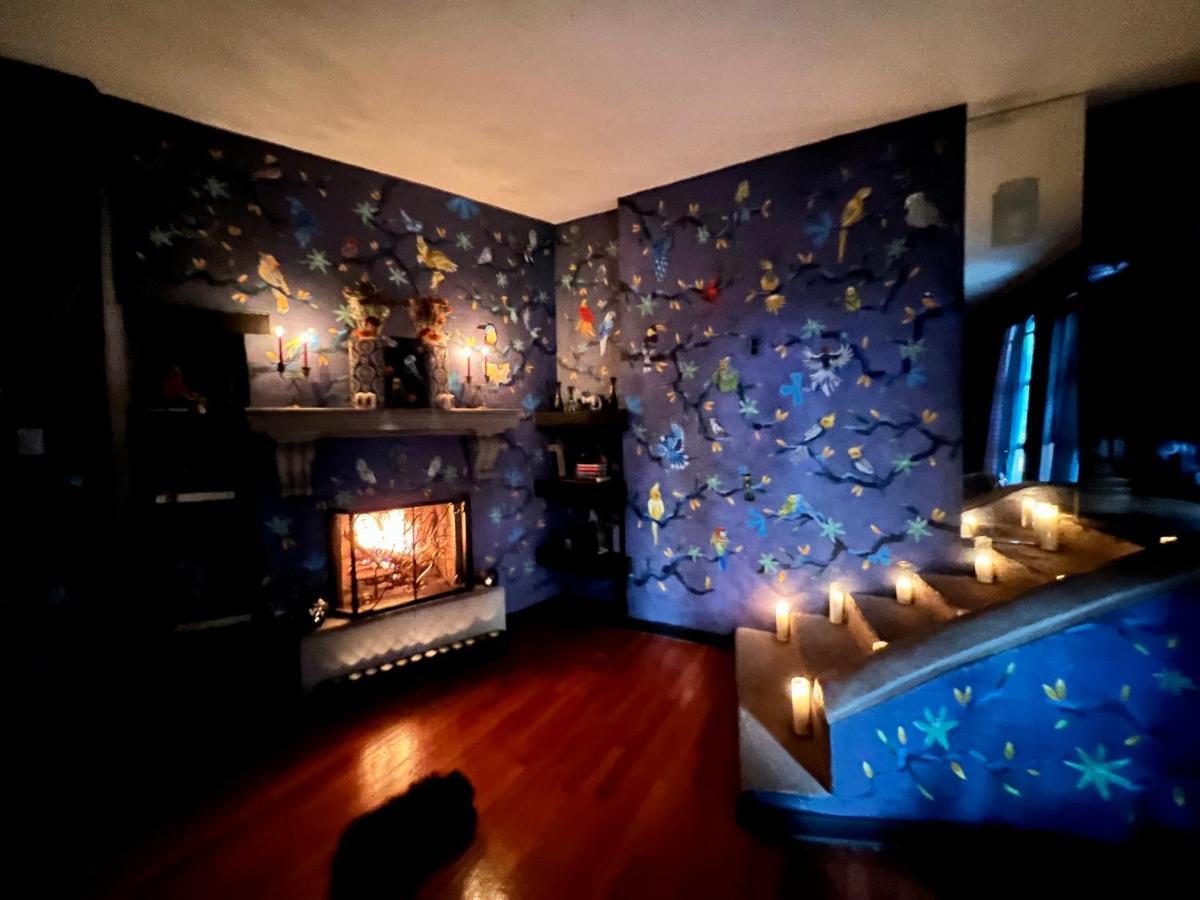 Boutique Hotel And Gallery In San Angel Inn 멕시코 시 외부 사진