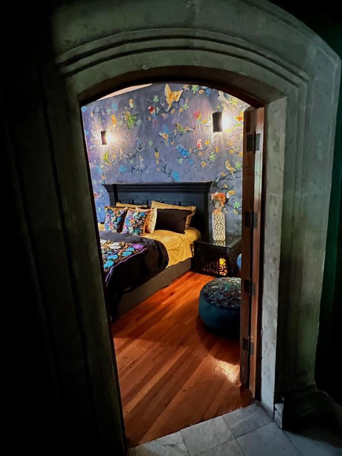 Boutique Hotel And Gallery In San Angel Inn 멕시코 시 외부 사진