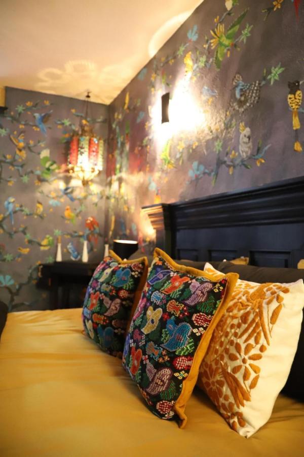 Boutique Hotel And Gallery In San Angel Inn 멕시코 시 외부 사진