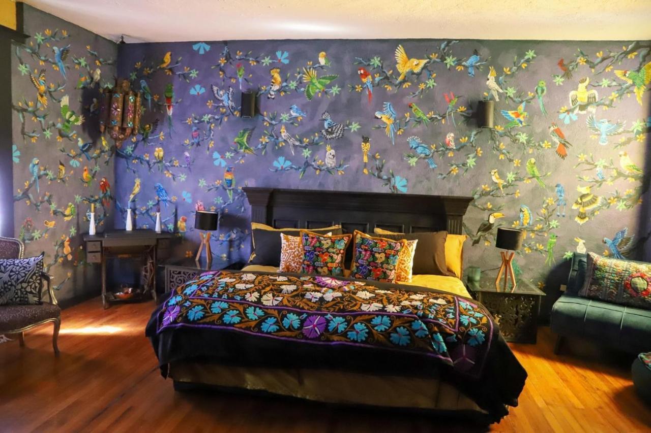 Boutique Hotel And Gallery In San Angel Inn 멕시코 시 외부 사진