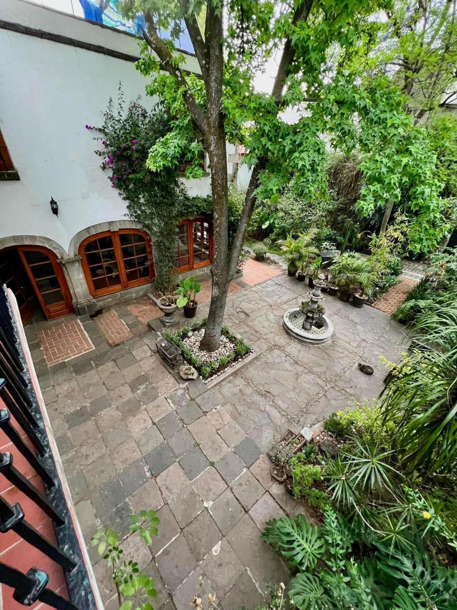 Boutique Hotel And Gallery In San Angel Inn 멕시코 시 외부 사진